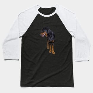 big rottweiler Baseball T-Shirt